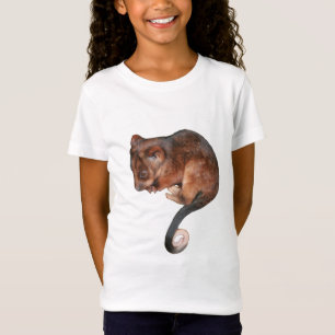 T-Shirt Petit Bébé Singtail Possum
