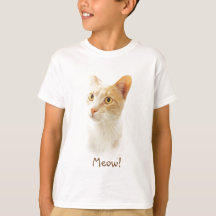 Petit Chat Blondie Se Demandant