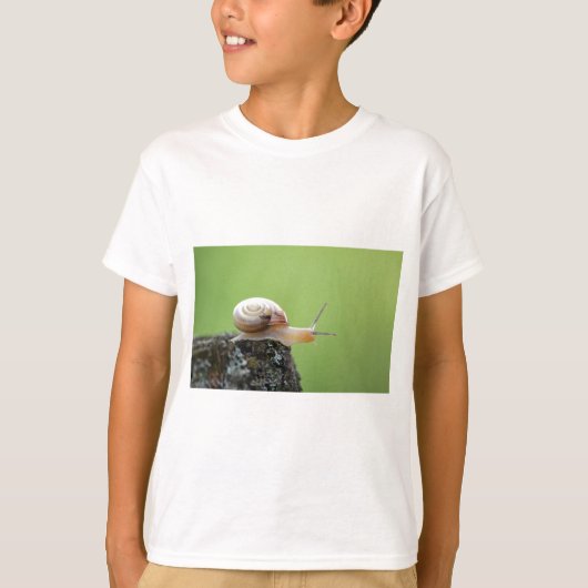 T-shirt Petit escargot sur le bord avec Arrière - plan ver (Devant)