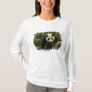 T-shirt Petit panda géant