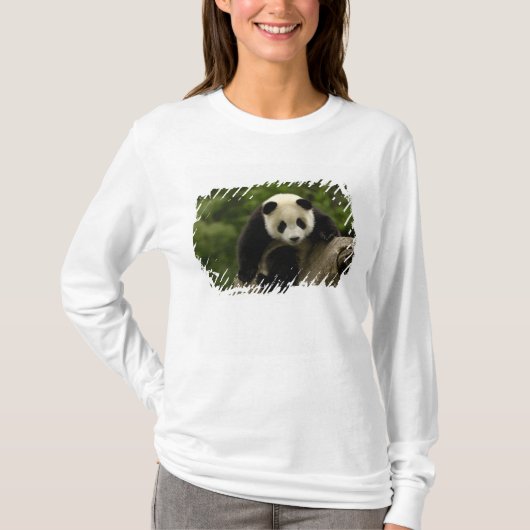 T-shirt Petit panda géant (Devant)