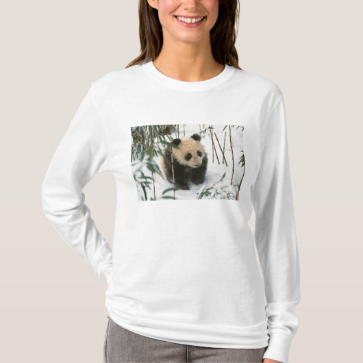 T-shirt Petit panda sur la neige, Wolong, Sichuan, Chine (Devant)