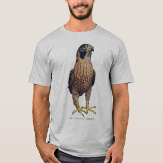 T-shirt Pétunia le Faucon Pèlerin