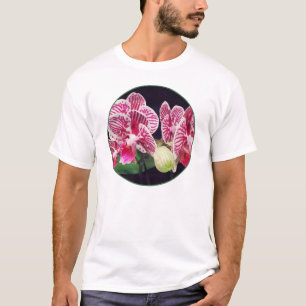 T-shirt Phalaenopsis orchidée Taida Little Zebra