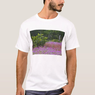 T-shirt Phlox de Drummond, Phlox drummondi, Hilton Head
