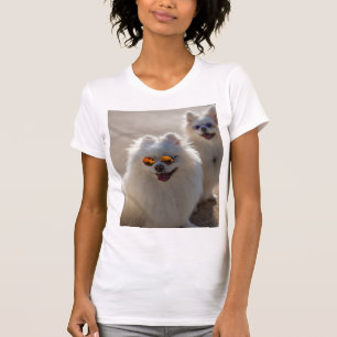T-shirt photo de chats mignons drôles, amateur de