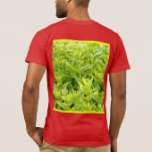 T-shirt Photo "Mint Plantes". Commandez dès maintenant  (Dos)