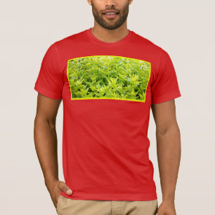 T-shirt Photo "Mint Plantes". Commandez dès maintenant 