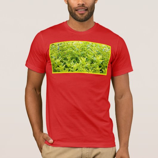 T-shirt Photo "Mint Plantes". Commandez dès maintenant  (Devant)