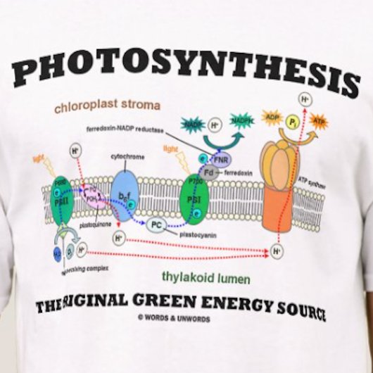 T-shirt Photosynthèse La Source D'Énergie Verte Originale