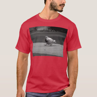 T-shirt Pidgeon 2