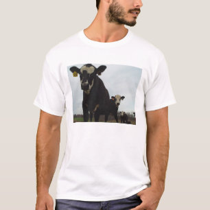 T-shirt Pièce en t curieuse des vaches 2
