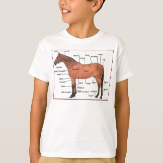 T-shirt pièce en t d'anatomie de cheval