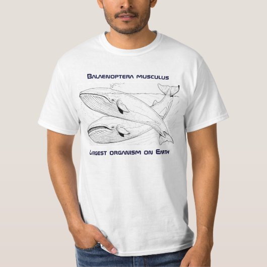 T-shirt Pièce en t de baleine bleue (Devant)