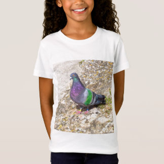 T-Shirt Pigeon