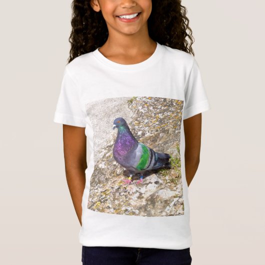 T-Shirt Pigeon (Devant)