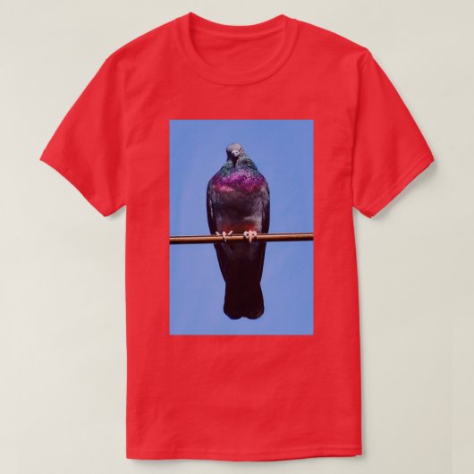 T-shirt pigeon 2 (Design devant)