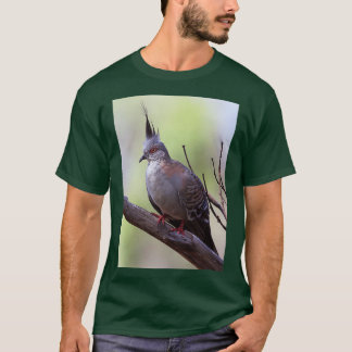 T-shirt Pigeon à crête 15
