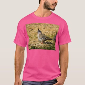 T-shirt Pigeon à crête 9