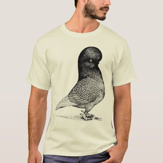 T-shirt Pigeon à tombeau andalou (Devant)