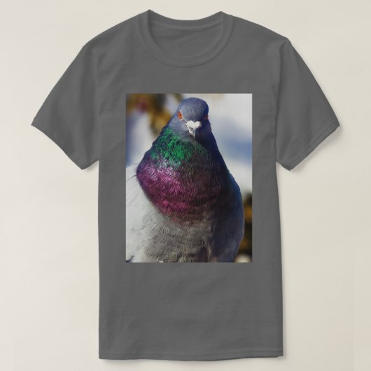 T-shirt Pigeon Feral (Design devant)
