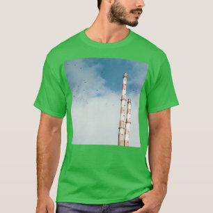 T-shirt Pigeon House