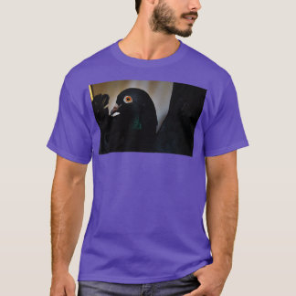 T-shirt Pigeon noir Orange yeux