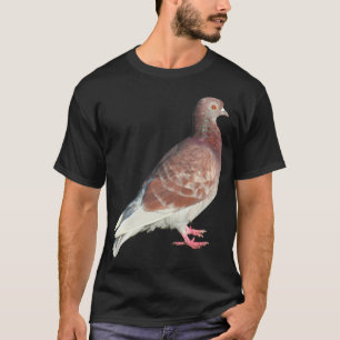 T-shirt Pigeon rouge (isolé)