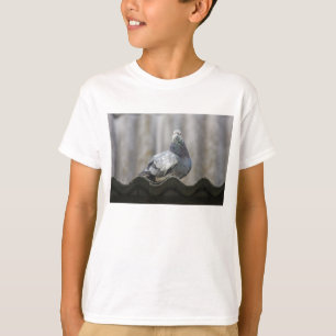 T-shirt Pigeon sur le toit.
