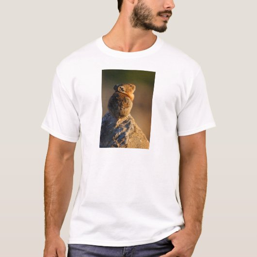 T-shirt pika (Devant)