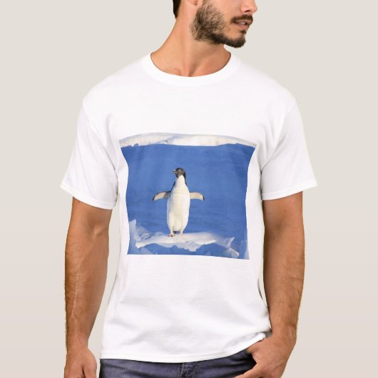 T-shirt Pingouin drôle sur la glace photo (Devant)