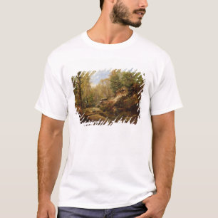 T-shirt Pins et arbres de bouleau ou la forêt de