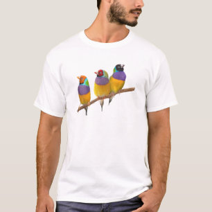 T-shirt Pinsons colorés de Gouldian aux pastels