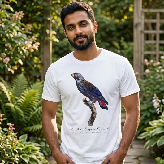 T-shirt Pione fuscus ou Pionus fuscus