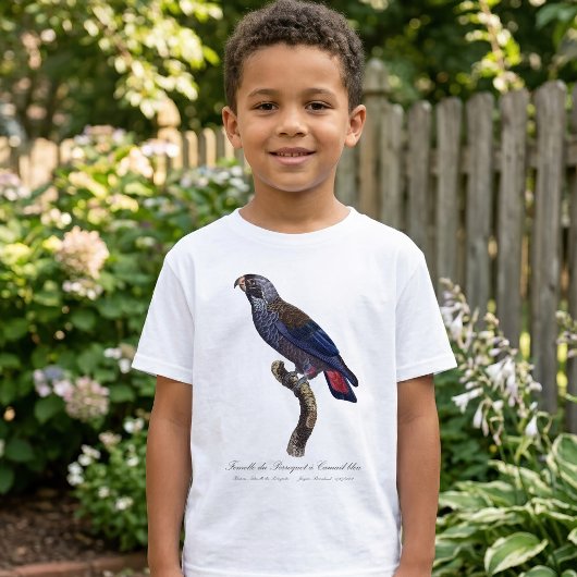 T-shirt Pionus fuscus, ou Pion gris-perle