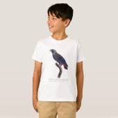 T-shirt Pionus fuscus, ou Pion gris-perle (Devant entier)
