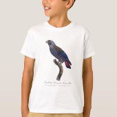 T-shirt Pionus fuscus, ou Pion gris-perle (Devant)