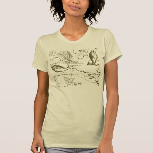 T-shirt Pisces Constellation Hevelius 1690 Carte Engraving (Devant)