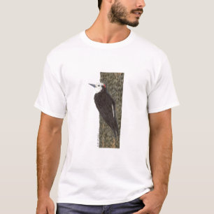 T-shirt Pivert à tête blanche