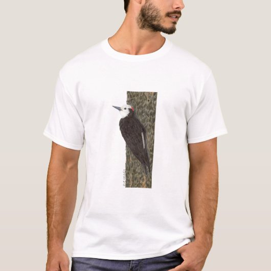 T-shirt Pivert à tête blanche (Devant)