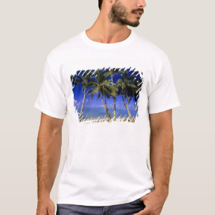 T-shirt Plage bordée de palmiers Cook Islands 4