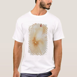 T-shirt Plantain de klaxon