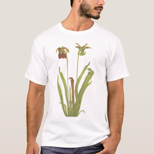 T-shirt Plante carnivore - rubra de Sarracenia (Devant)