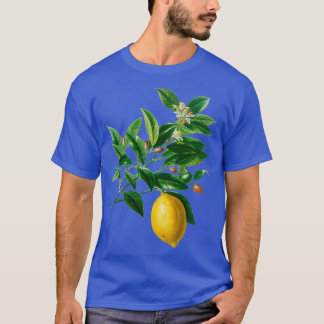 T-shirt Plante citron