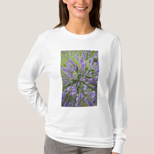 T-shirt Plantes de lavande (Devant)