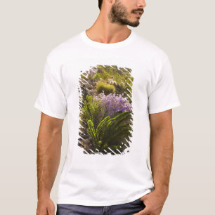 T-shirt plantes du désert de Chihuahuan en fleurs
