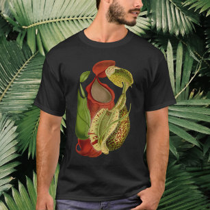 T-shirt Plantes vintages rouges et verts - Nepenthes