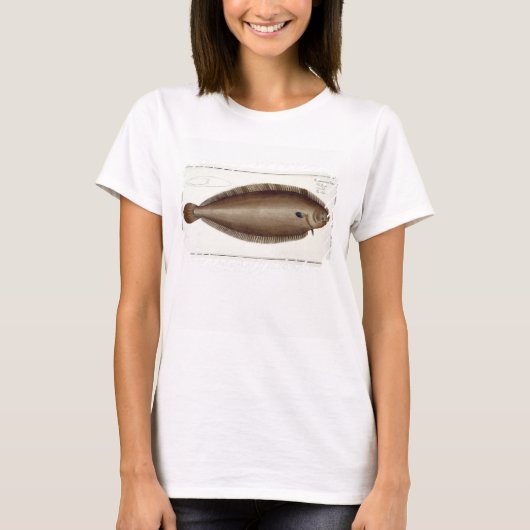 T-shirt Plate XLV de Solea Solaea de 'Ichthyol (Devant)