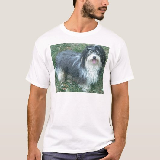 T-shirt plein havanese (Devant)