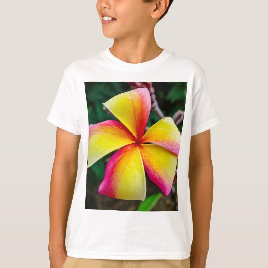 T-shirt Plumeria rubra (Devant)
